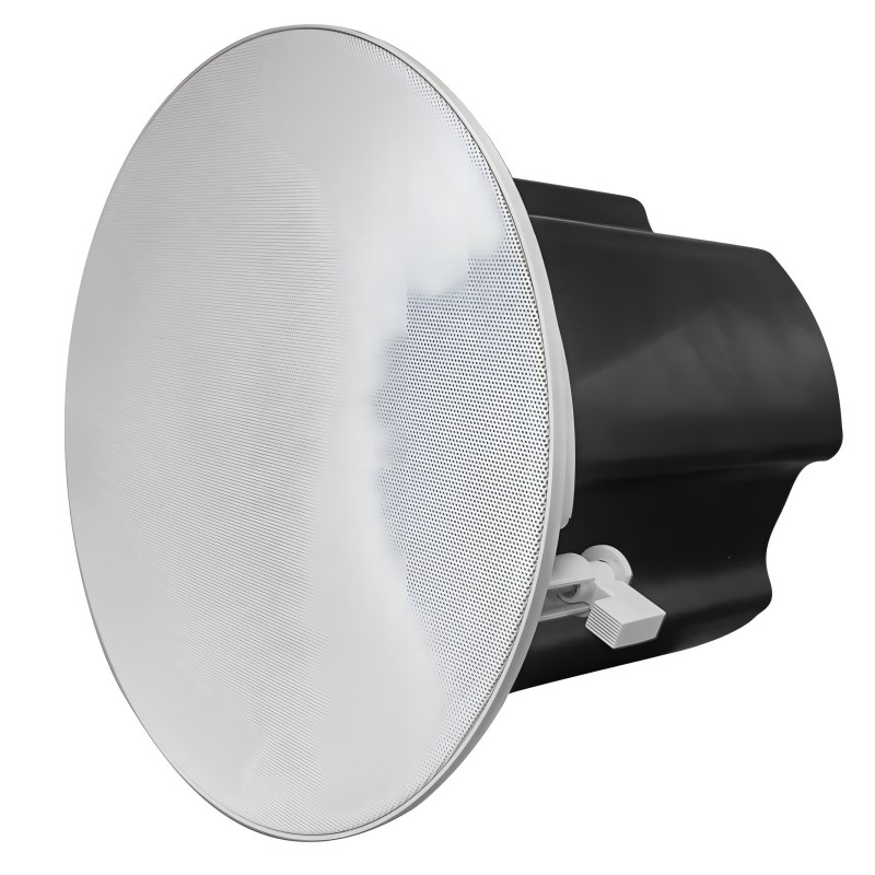 Ar Dante garsiakalbis suderinamas su jūsų esama garso įranga